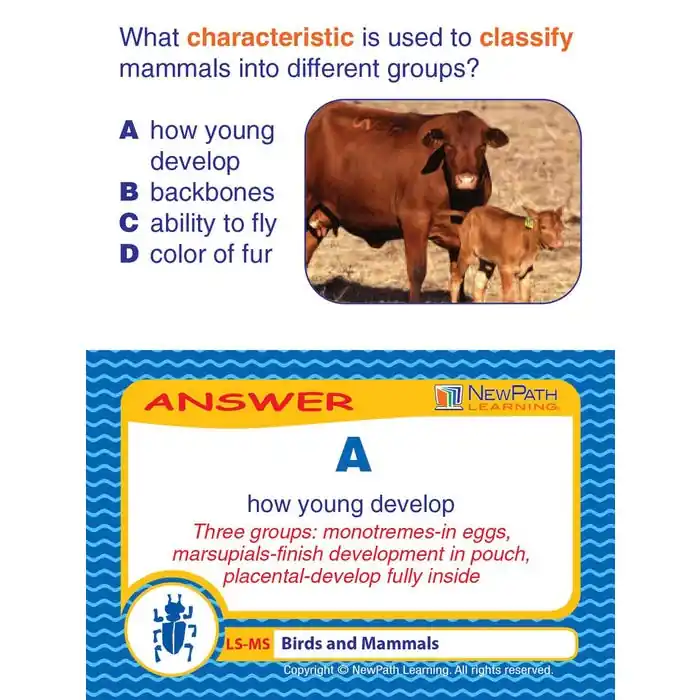 NewPath Learning Birds & Mammals Learning Center Game, Grades 6 to 10 Trending